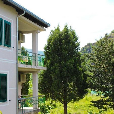 Agroturizem Hotel Vila Franceze Koman Eksteriør billede
