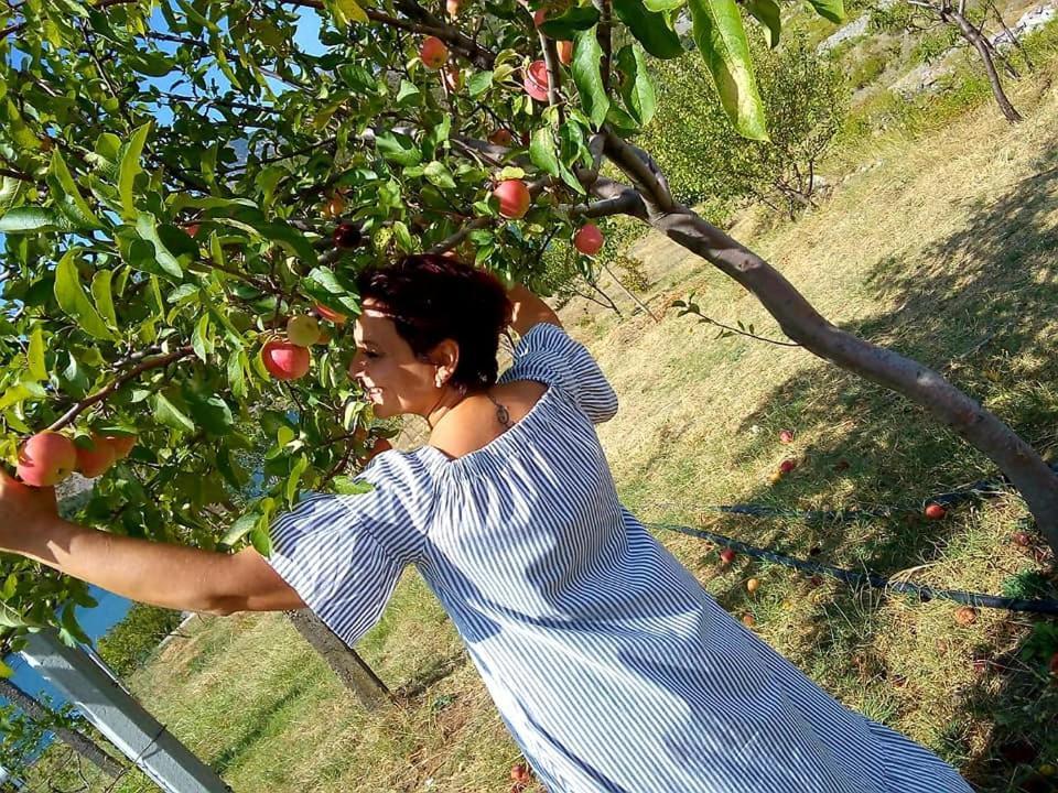 Agroturizem Hotel Vila Franceze Koman Eksteriør billede