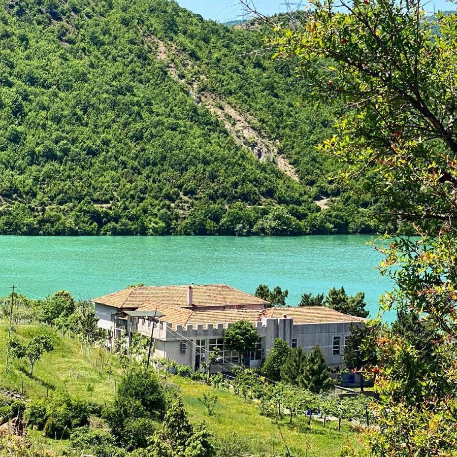 Agroturizem Hotel Vila Franceze Koman Eksteriør billede
